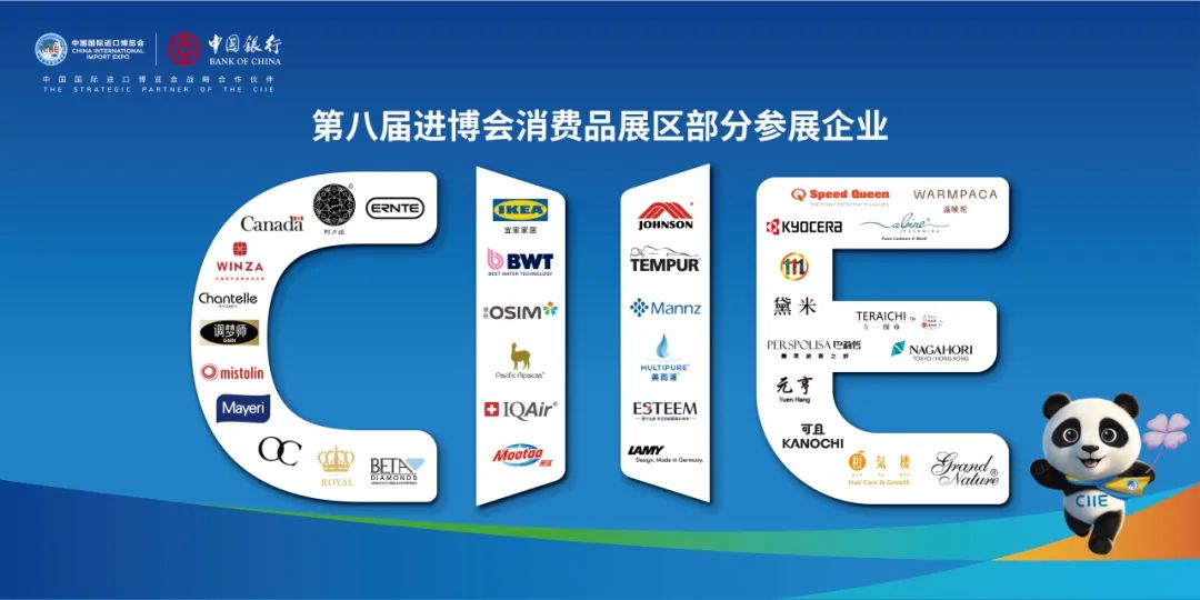 中国数字经济与跨境电商专委会 图片