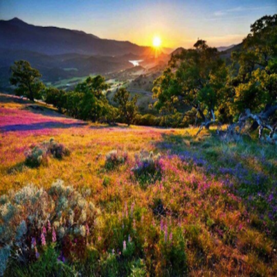 赴美俄勒冈州 跨境电商 商务跨境专业之旅(NO：01）