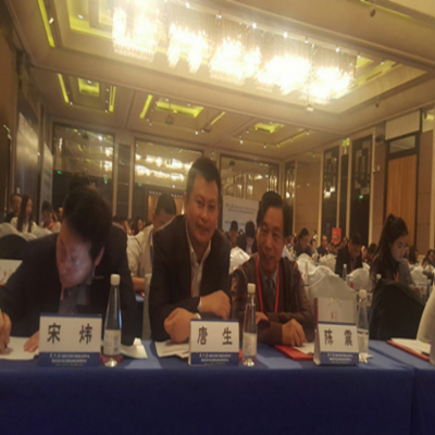 唐生副理事长受邀参加第六届中国电子商务与物流企业家年会暨第四届中国大数据金融发展高峰论坛