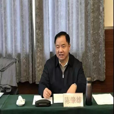 陈肇雄出席电信普遍服务暨网络扶贫工作座谈会