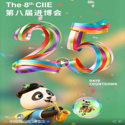 “会”聚八方！第八届进博会倒计时25天！